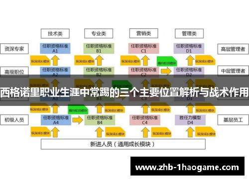 西格诺里职业生涯中常踢的三个主要位置解析与战术作用